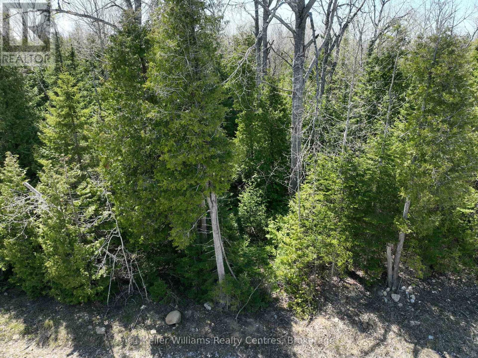Lot 10 Trillium Crossing, Northern Bruce Peninsula, Ontario N0H 1W0 - Photo 5 - X13151236
