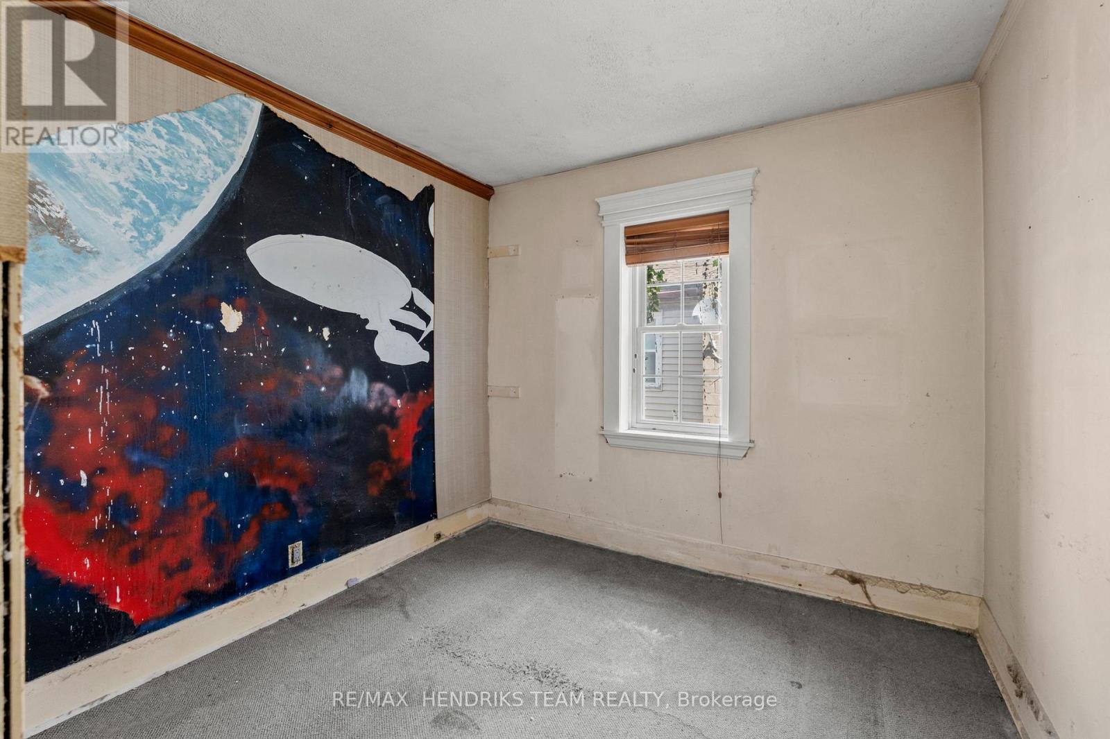 10 Peachdale Avenue, St. Catharines, Ontario  L2M 5M3 - Photo 21 - X13151098