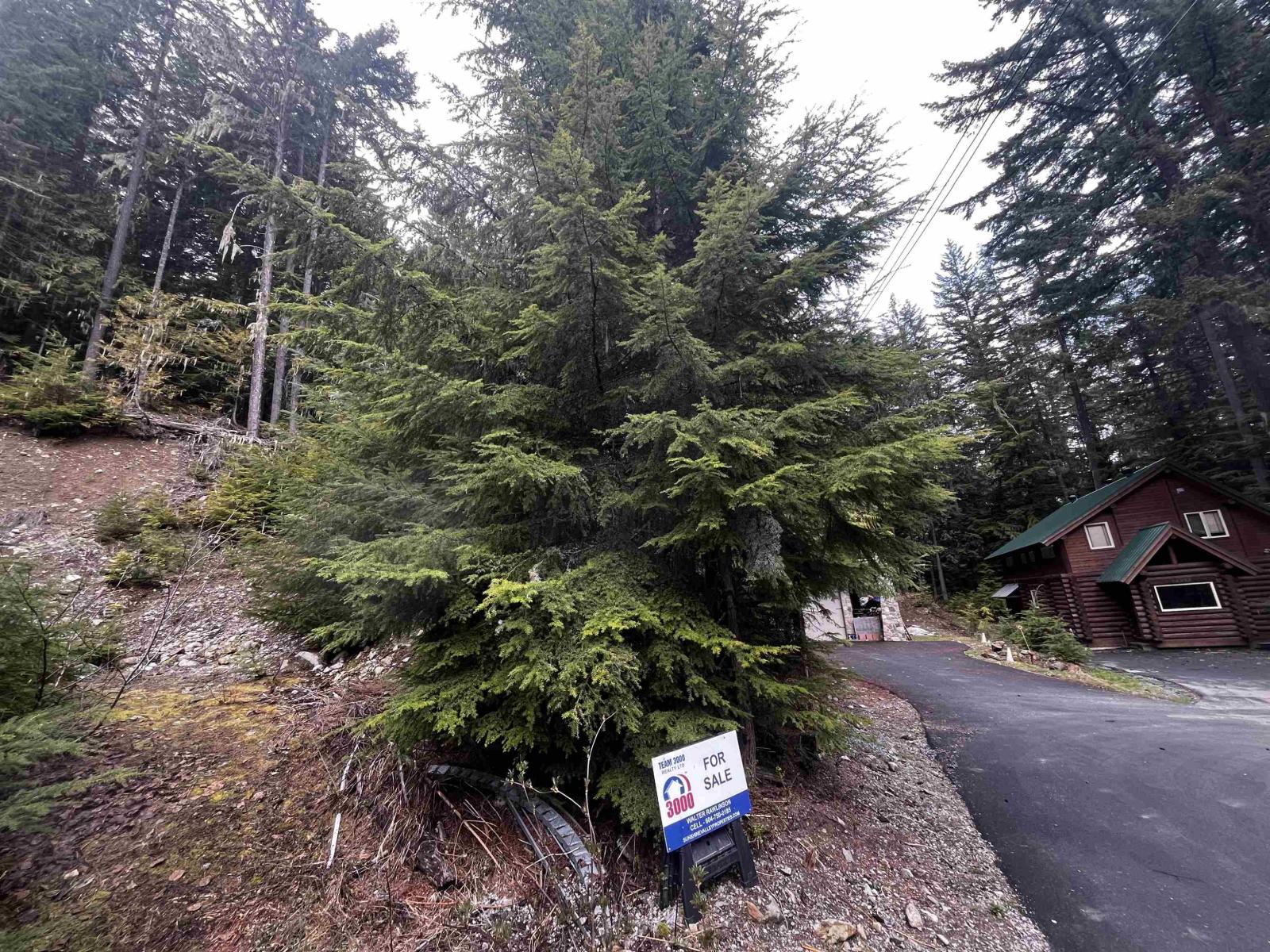 14963 Parkwood Street, Sunshine Valley, Sunshine Valley, British Columbia  V0X 1L5 - Photo 4 - R3125607