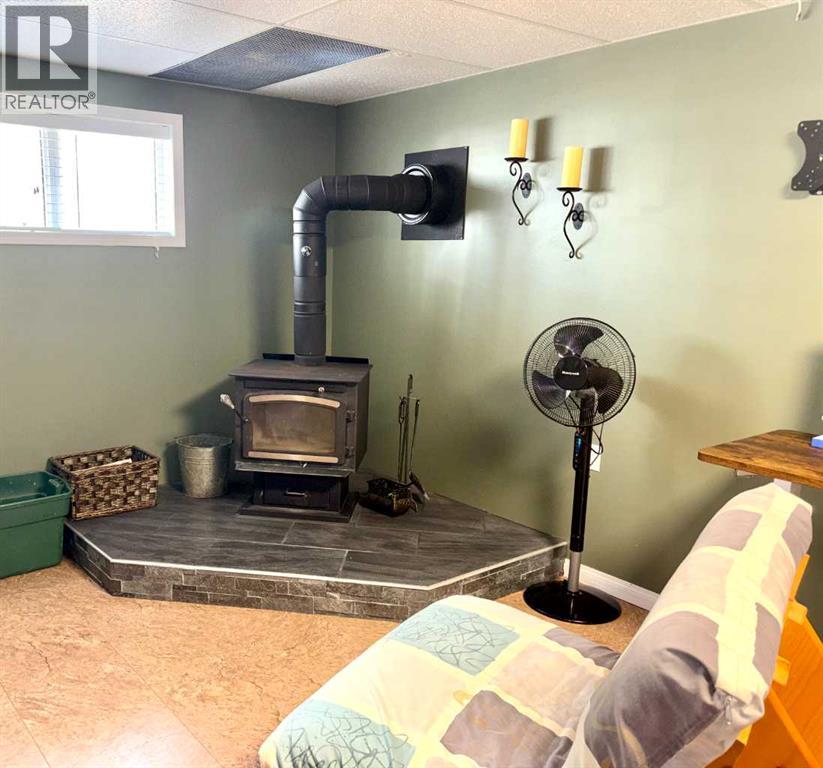 4632 51 Street, Mannville, Alberta  T0B 2W0 - Photo 23 - A2312245