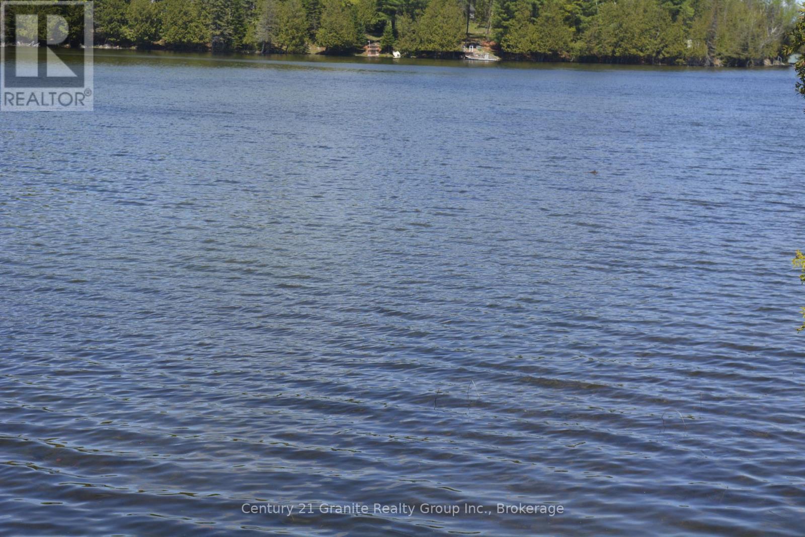 200 Gunter Lk Road, Tudor And Cashel, Ontario  K0L 1W0 - Photo 36 - X13151444