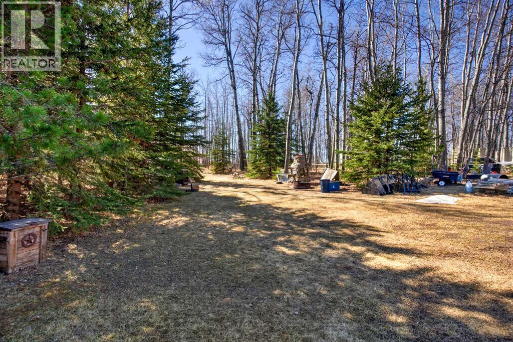 10, 4541 27 Highway, Rural Mountain View County, Alberta  T0M 0X0 - Photo 30 - A2311154