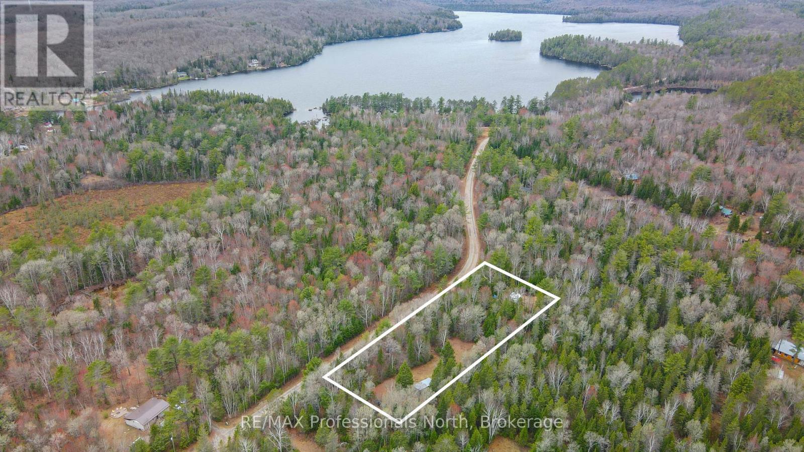1056 Outram Road, Highlands East, Ontario  K0L 3C0 - Photo 6 - X13151664