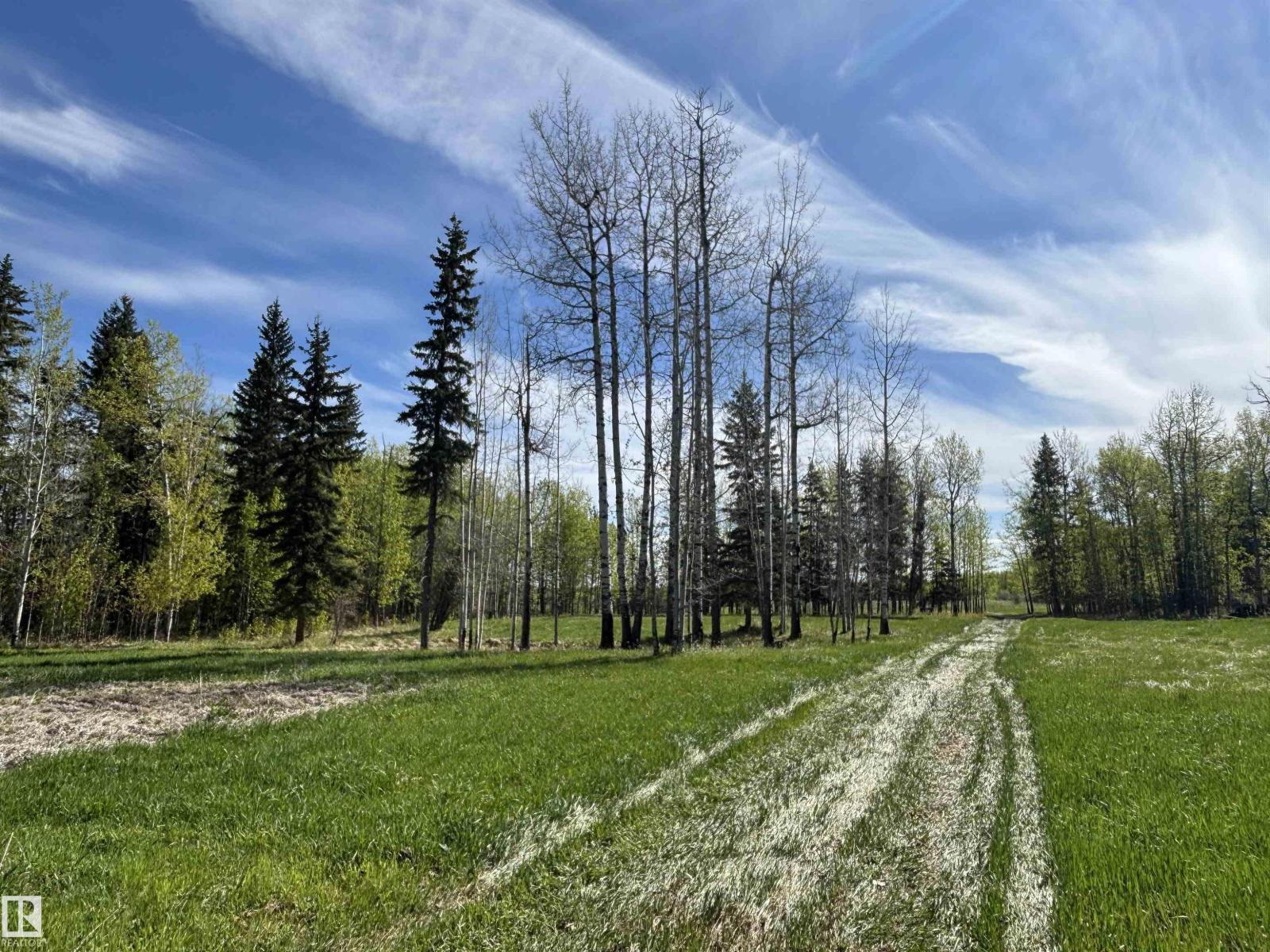 49501 Range Road 81, Rural Brazeau County, Alberta  T7A 2A3 - Photo 21 - E4488838