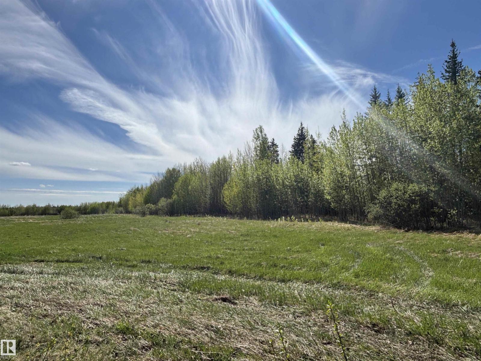 49501 Range Road 81, Rural Brazeau County, Alberta  T7A 2A3 - Photo 25 - E4488838