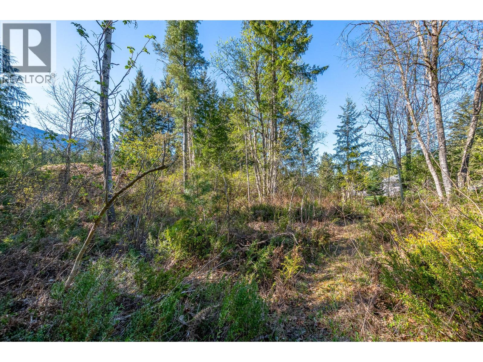 Lot 2 Bloomquist Road, Malakwa, British Columbia  V0E 2J0 - Photo 28 - 10384817