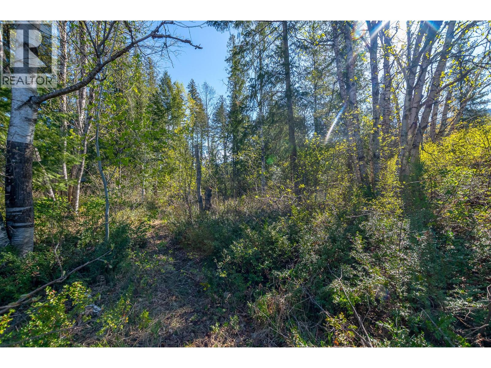 Lot 2 Bloomquist Road, Malakwa, British Columbia  V0E 2J0 - Photo 26 - 10384817