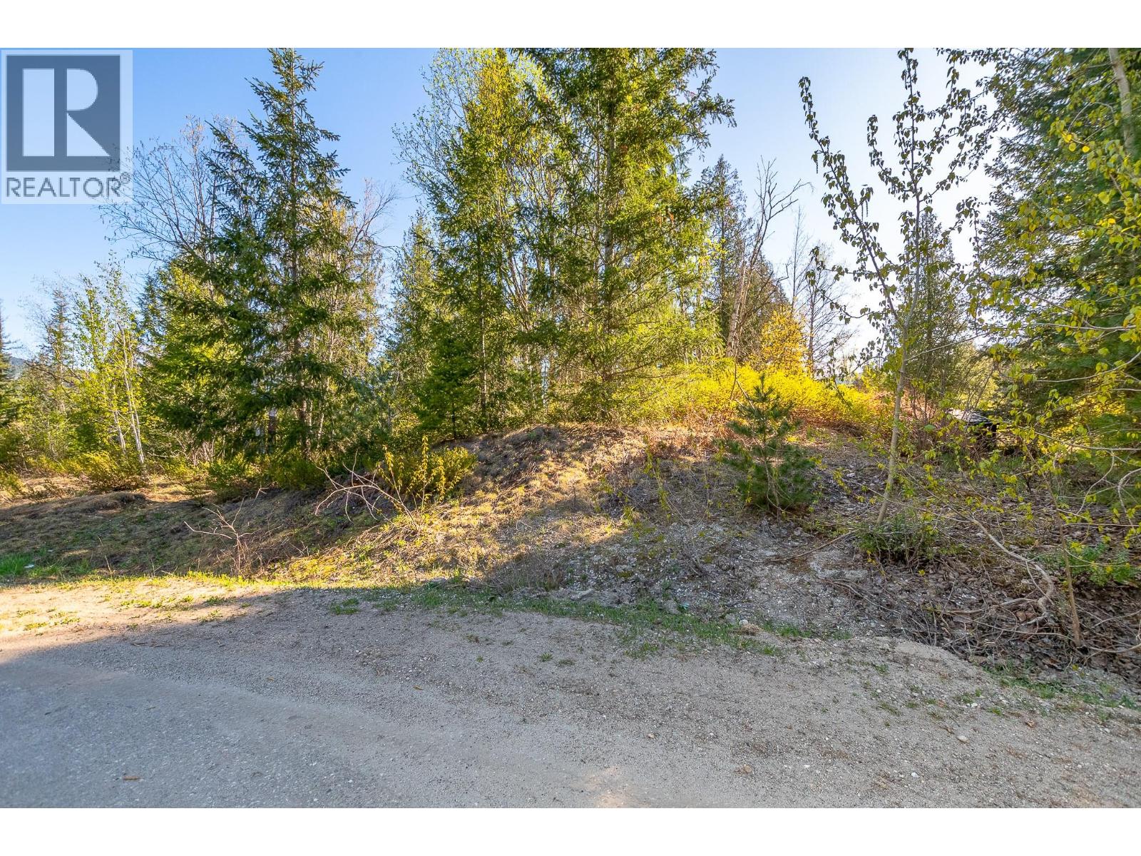 Lot 2 Bloomquist Road, Malakwa, British Columbia  V0E 2J0 - Photo 30 - 10384817