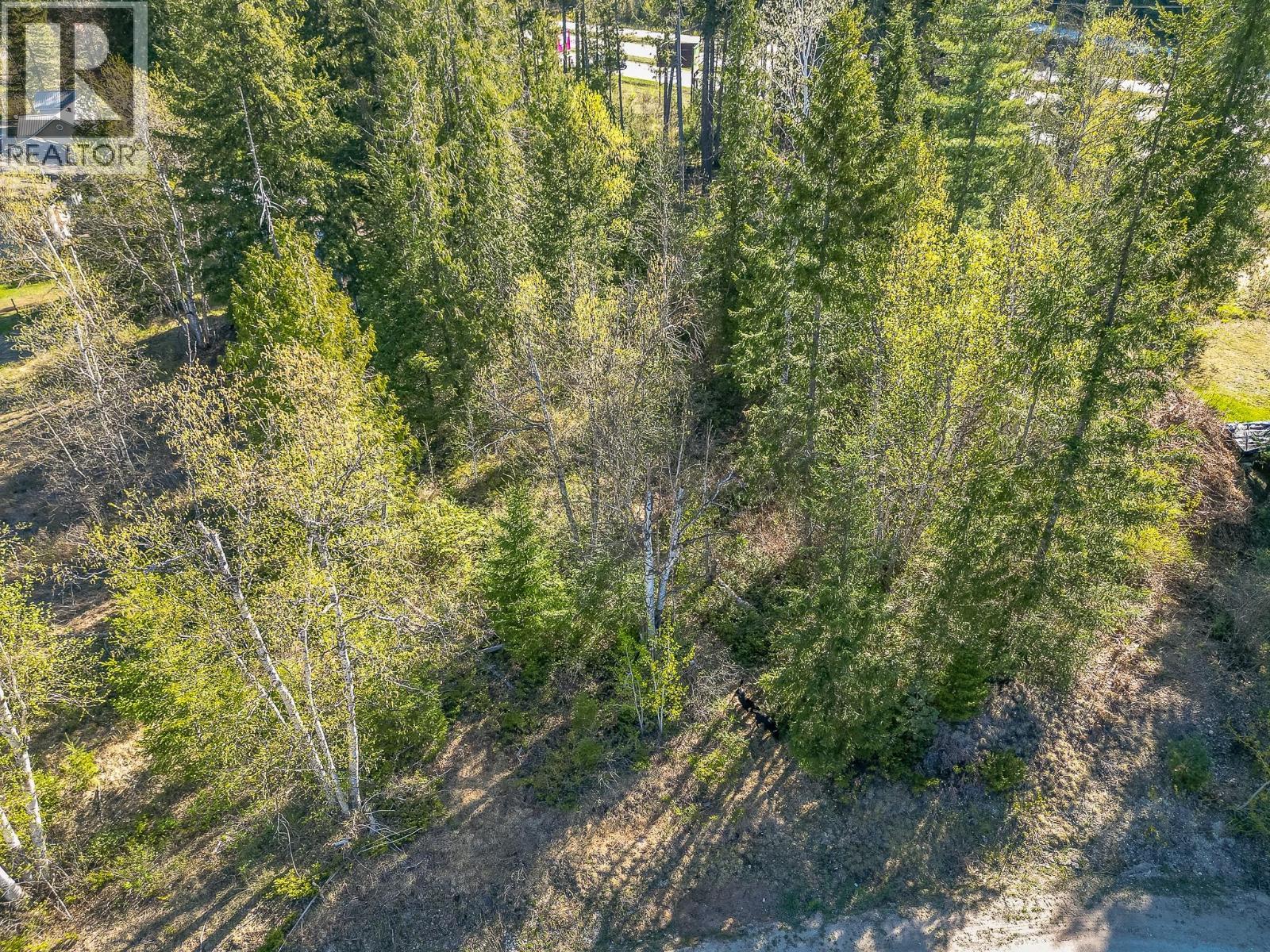 Lot 2 Bloomquist Road, Malakwa, British Columbia  V0E 2J0 - Photo 31 - 10384817