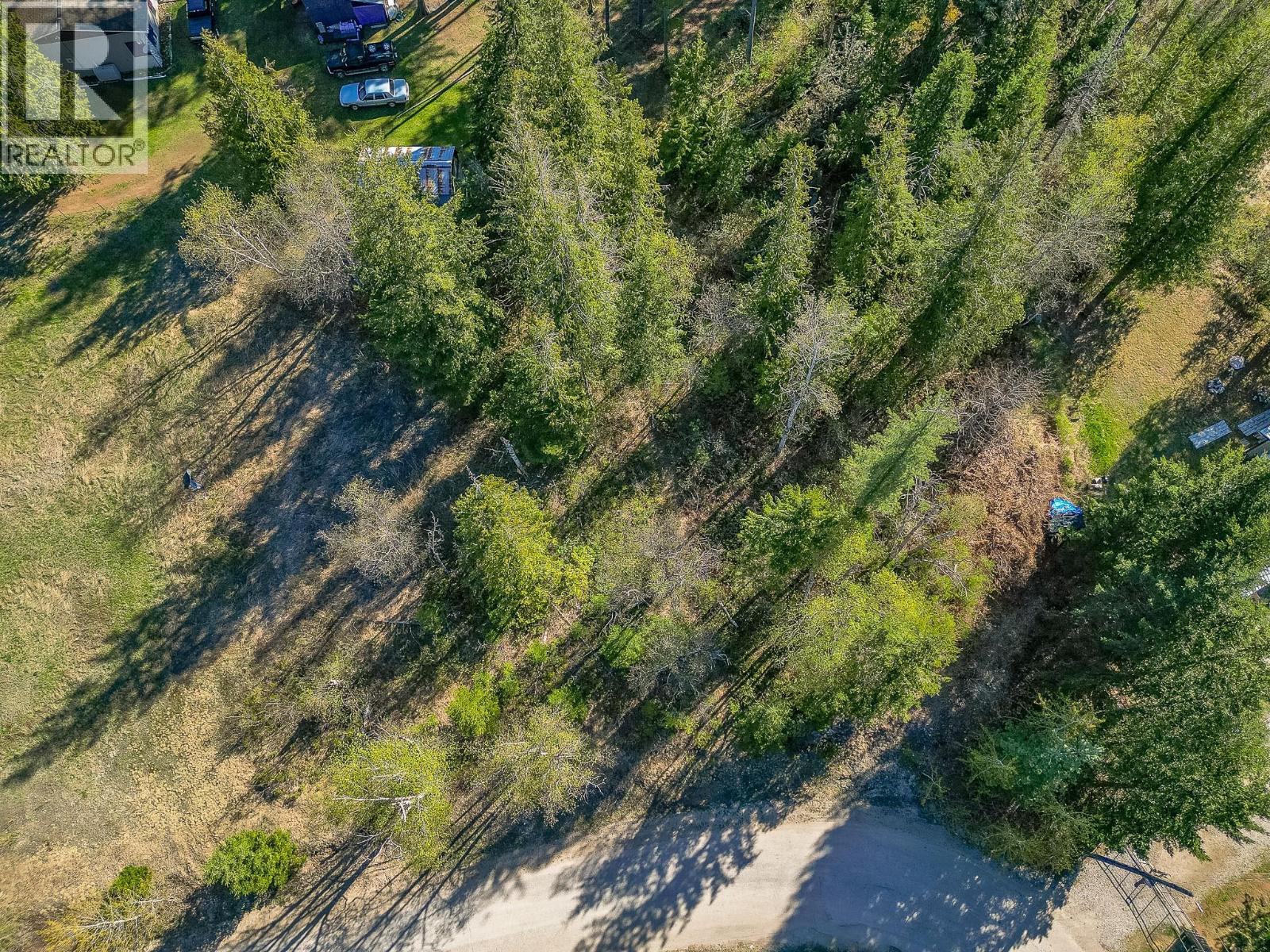 Lot 2 Bloomquist Road, Malakwa, British Columbia  V0E 2J0 - Photo 3 - 10384817