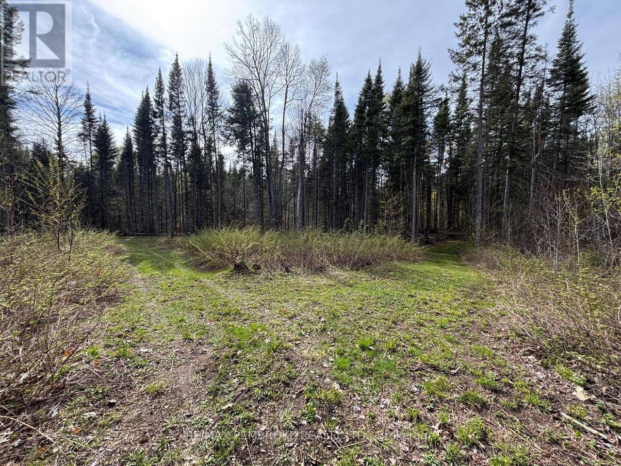 3068 Mclaughlin Road, Whitewater Region, Ontario  K8A 6W3 - Photo 12 - X12275649