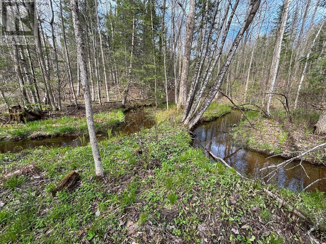 3068 Mclaughlin Road, Whitewater Region, Ontario  K8A 6W3 - Photo 10 - X12275649