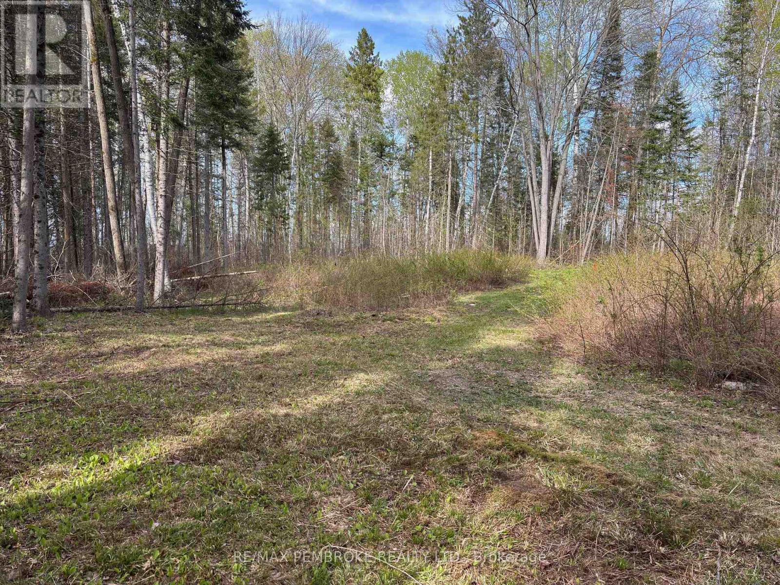3068 Mclaughlin Road, Whitewater Region, Ontario  K8A 6W3 - Photo 11 - X12275649