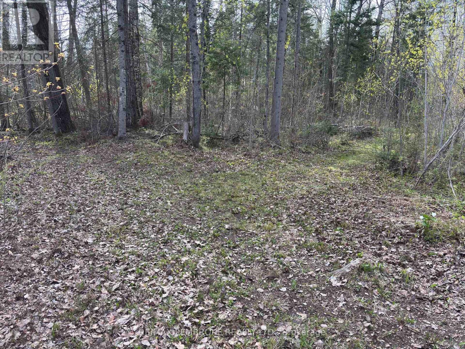 3068 Mclaughlin Road, Whitewater Region, Ontario  K8A 6W3 - Photo 15 - X12275649