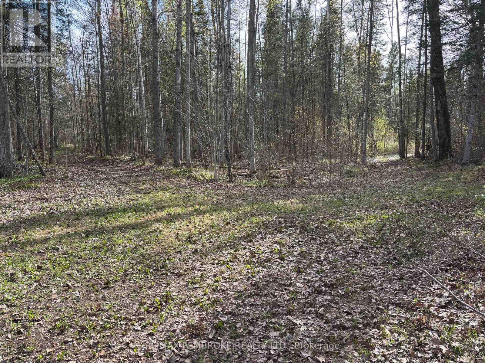 3068 Mclaughlin Road, Whitewater Region, Ontario  K8A 6W3 - Photo 16 - X12275649