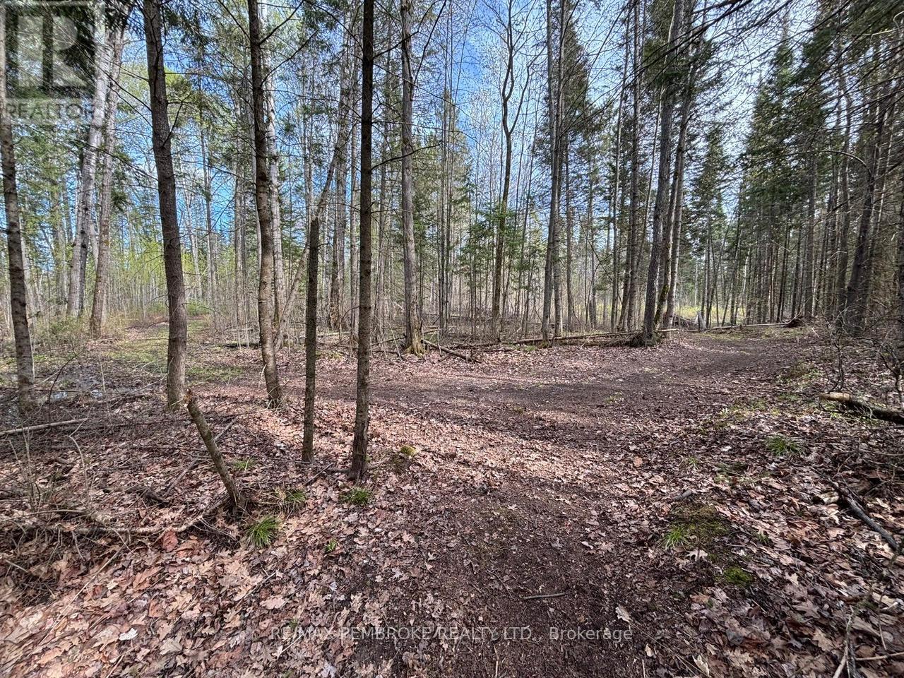 3068 Mclaughlin Road, Whitewater Region, Ontario  K8A 6W3 - Photo 13 - X12275649