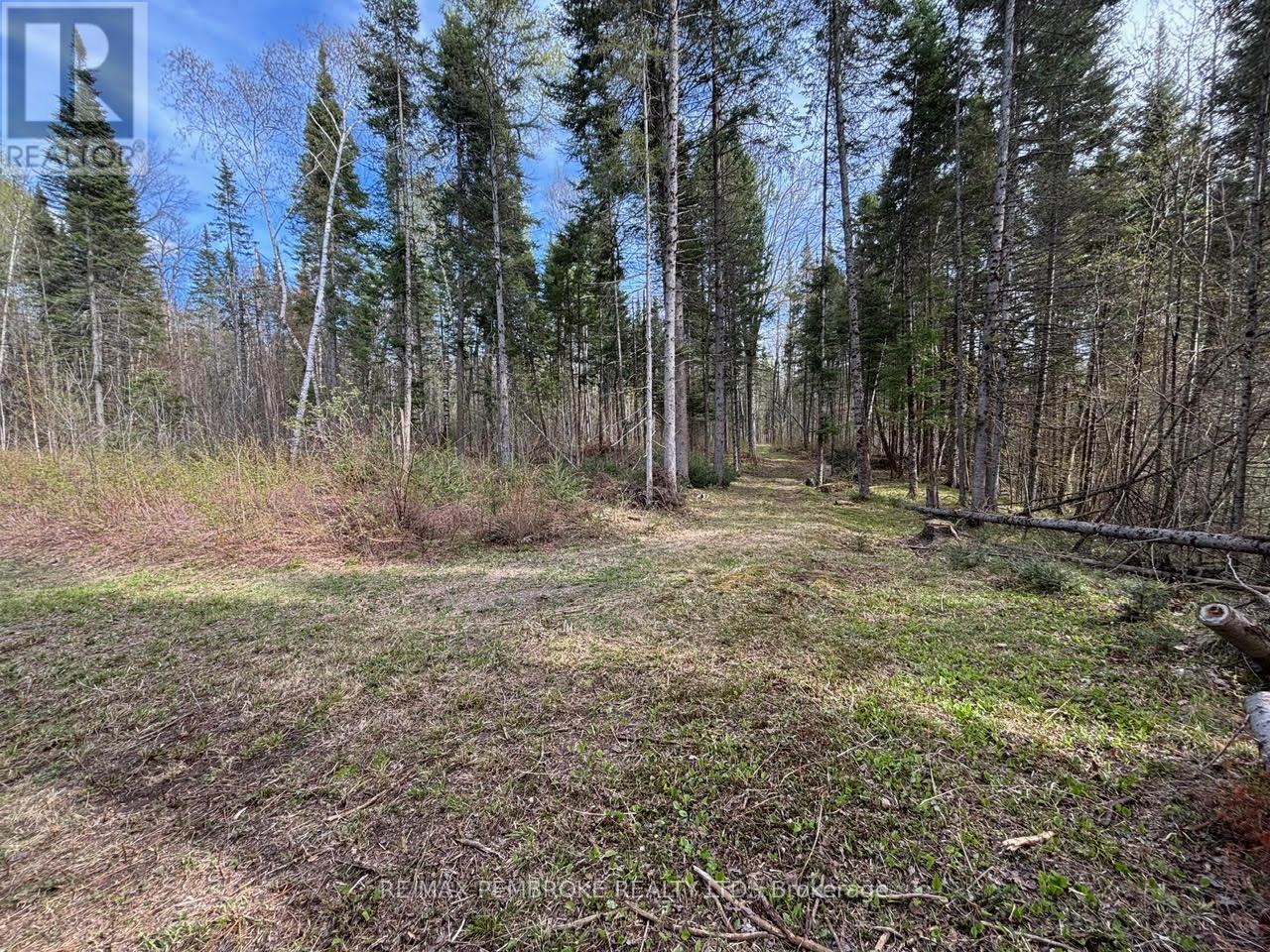 3068 Mclaughlin Road, Whitewater Region, Ontario  K8A 6W3 - Photo 7 - X12275649