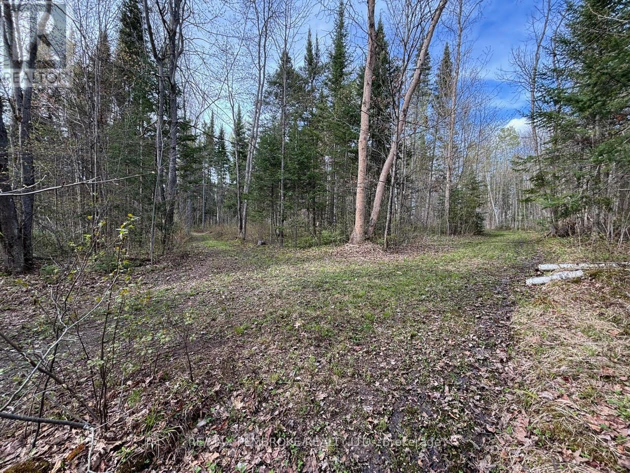 3068 Mclaughlin Road, Whitewater Region, Ontario  K8A 6W3 - Photo 8 - X12275649