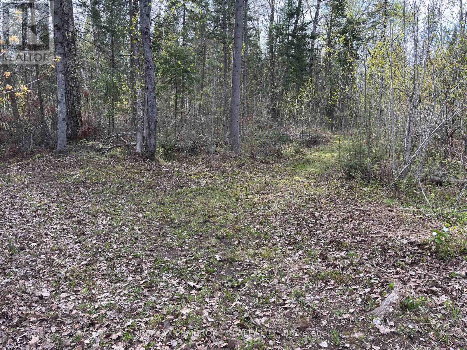 3068 Mclaughlin Road, Whitewater Region, Ontario  K8A 6W3 - Photo 14 - X12275649