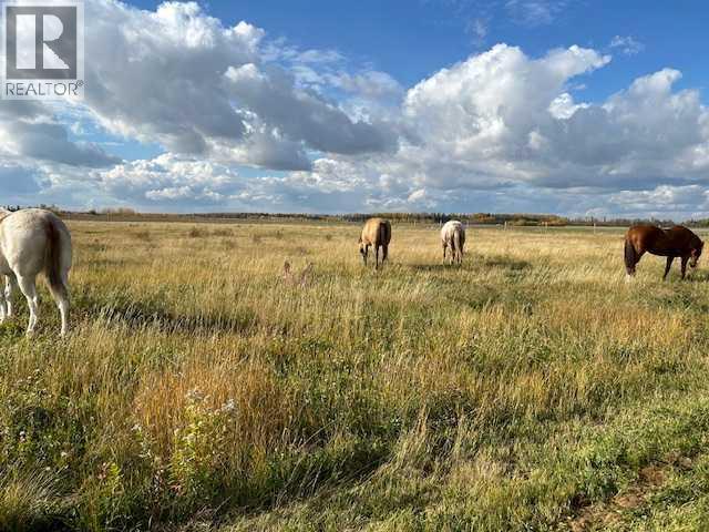 18142 Township Road 1102, Rural Mackenzie County, Alberta  T0H 1Z0 - Photo 2 - A2284983
