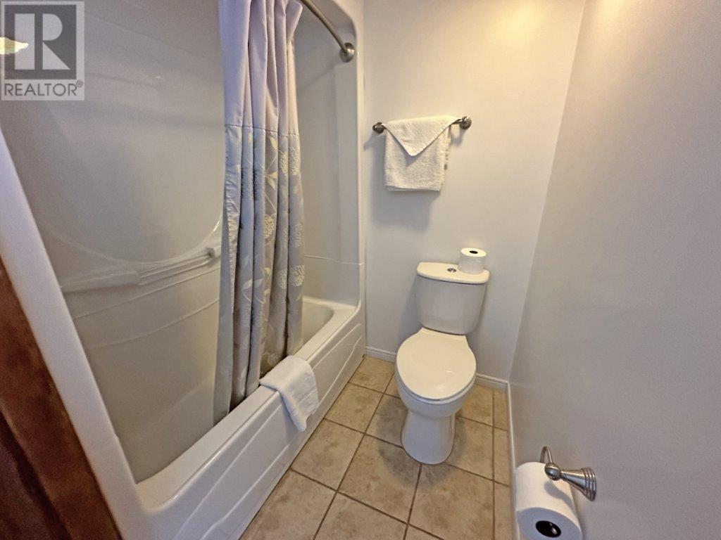 406 Hwy 11 623, Sapawe/atikokan, Ontario  P0T 1C0 - Photo 16 - TB252368