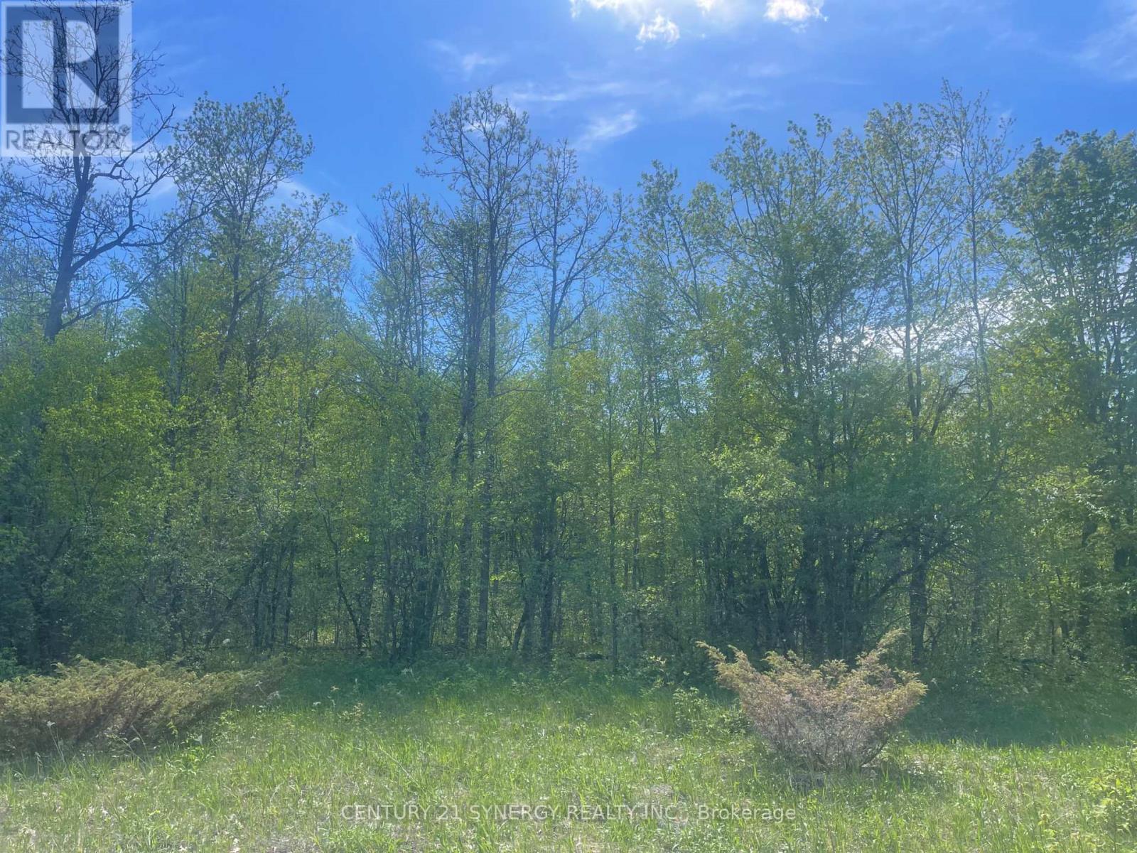 00 Wilson Road, Montague, Ontario K7A 4S6 - Photo 5 - X13151006
