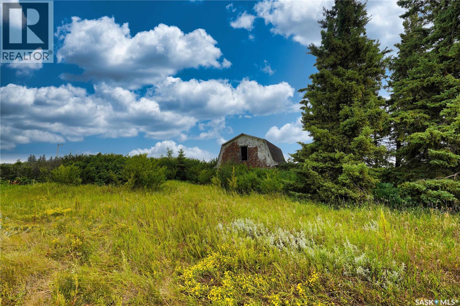 NW-Pt-06-53-21-W3, Mervin Rm No.499, Saskatchewan  S0M 2W0 - Photo 4 - SK018873