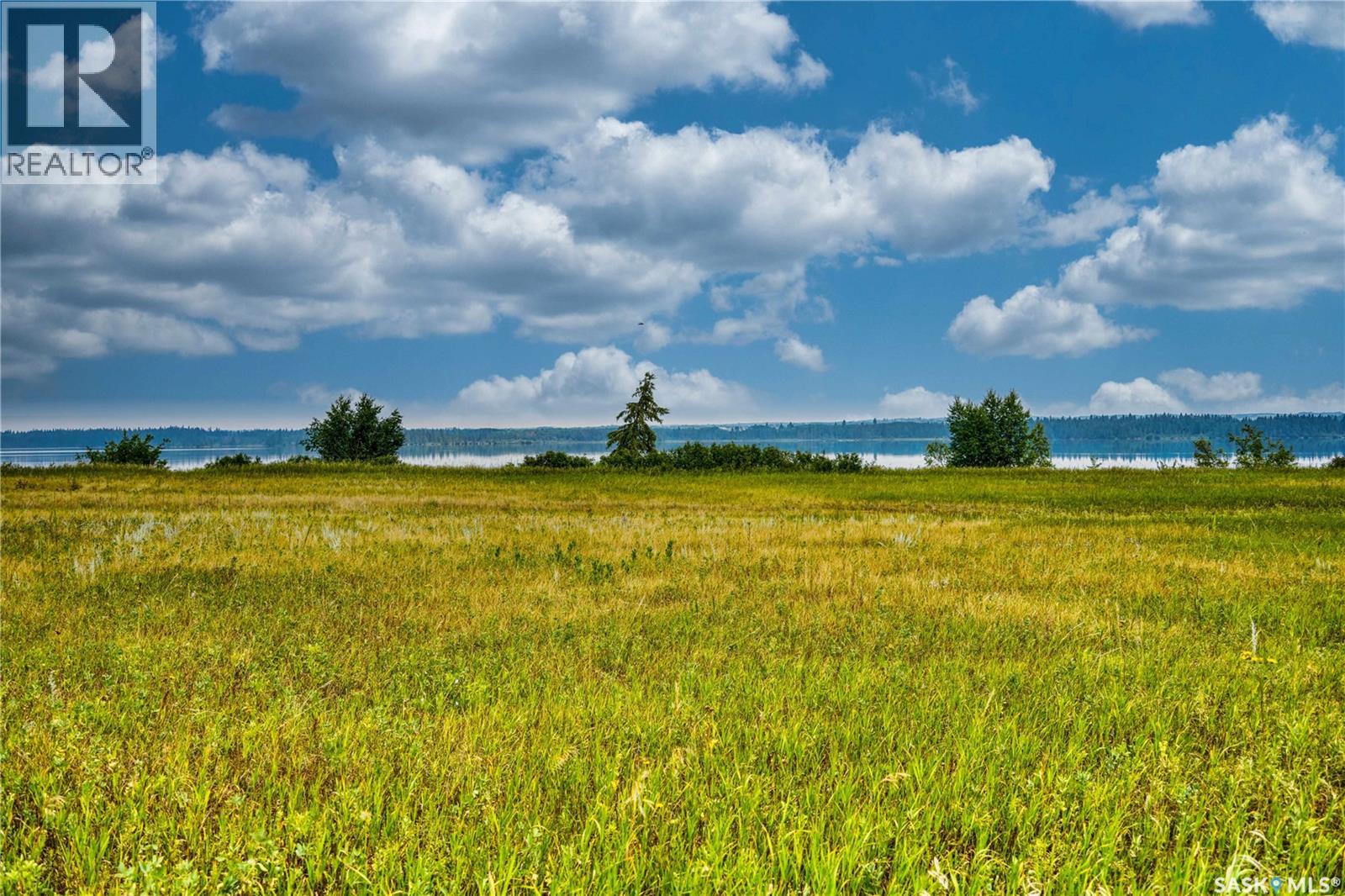 NW-Pt-06-53-21-W3, Mervin Rm No.499, Saskatchewan  S0M 2W0 - Photo 11 - SK018873
