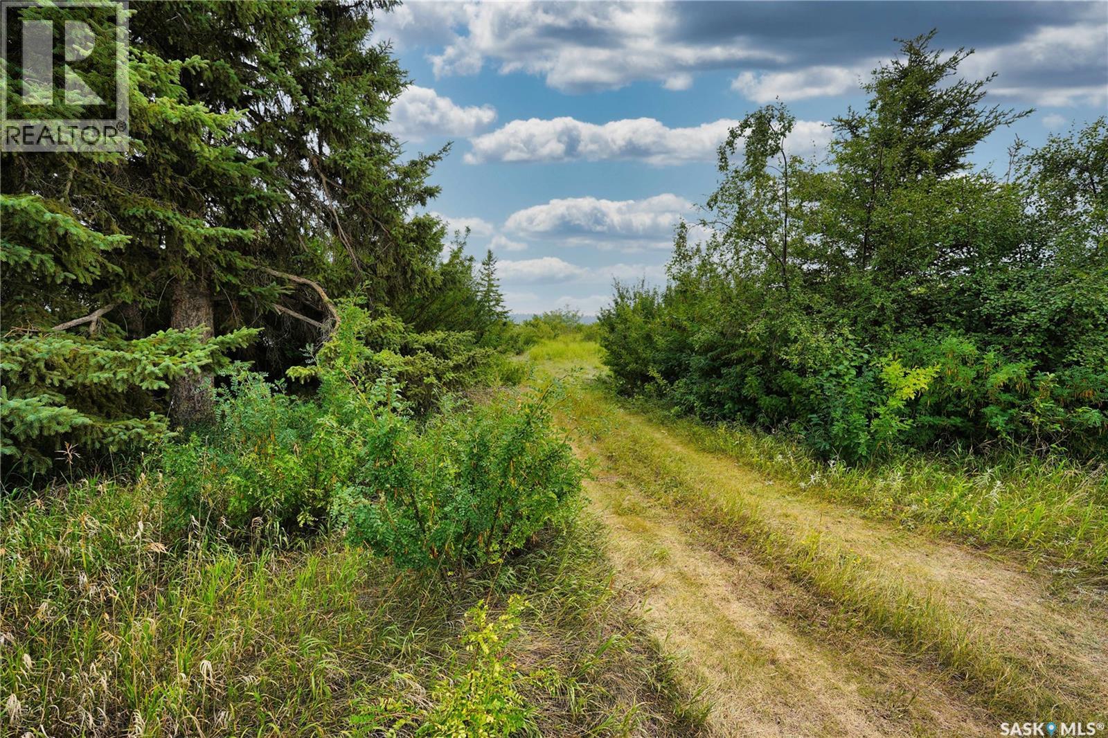 NW-Pt-06-53-21-W3, Mervin Rm No.499, Saskatchewan  S0M 2W0 - Photo 10 - SK018873