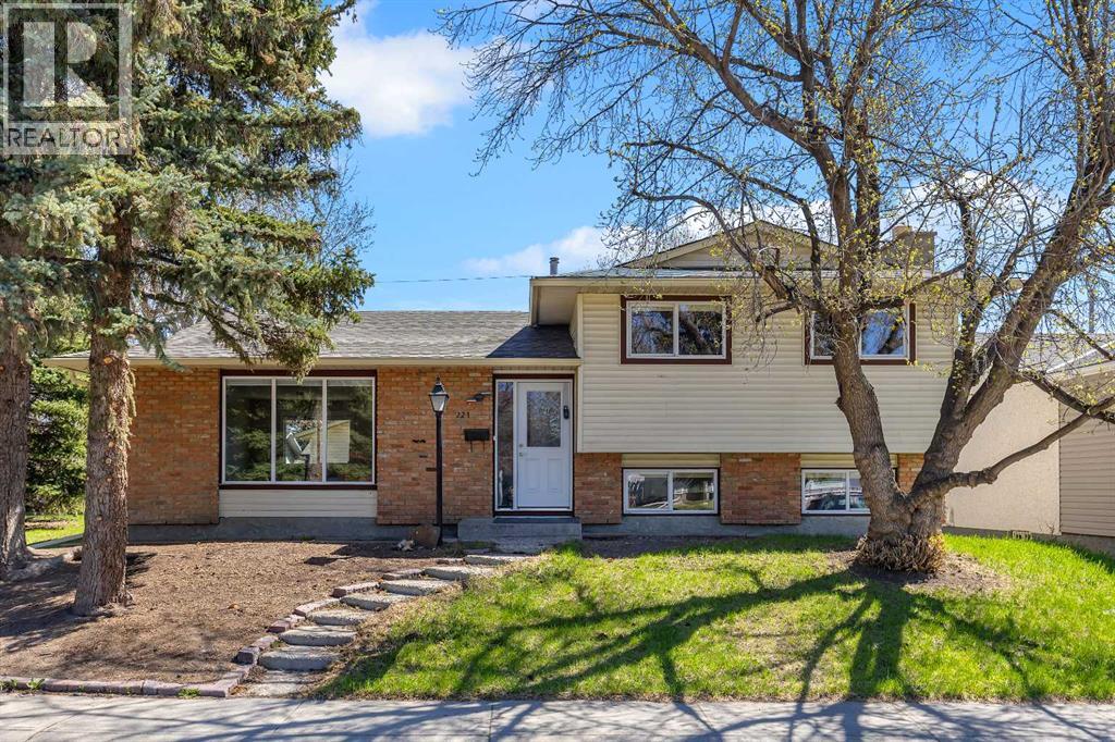 221 Madeira Crescent NE, Calgary, Alberta