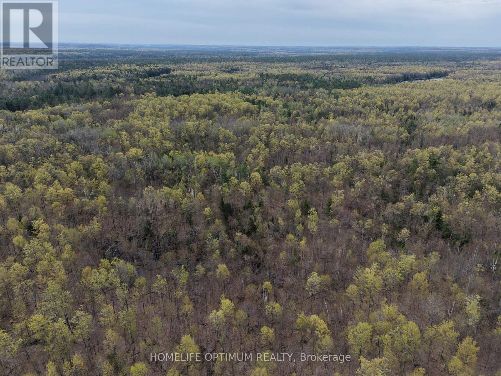 1086 Crystal Lake Road, Trent Lakes, Ontario  K0M 2A0 - Photo 11 - X13152016