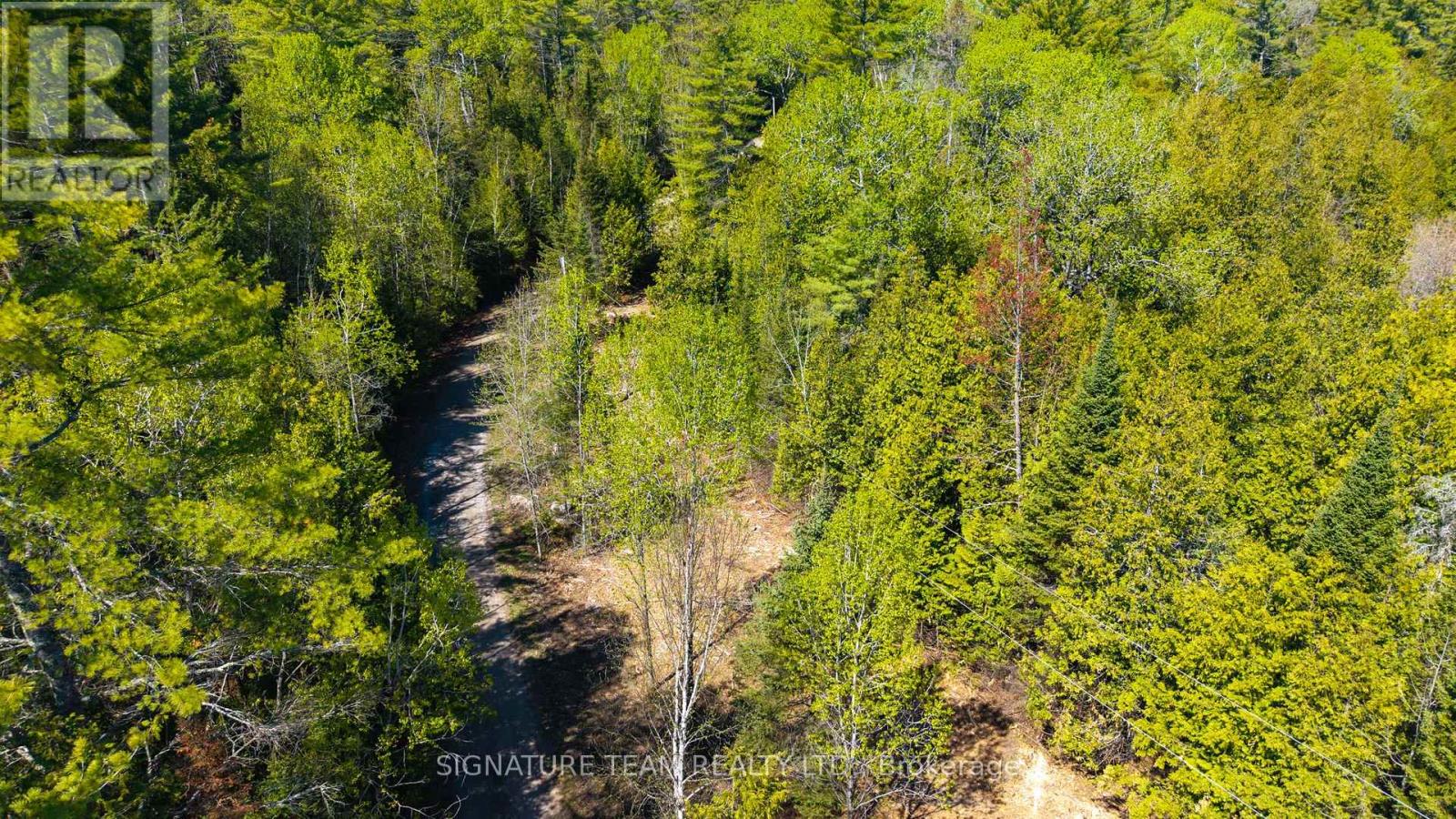 0 Red Ash Trail, Whitewater Region, Ontario K0J 2L0 - Photo 4 - X12986816