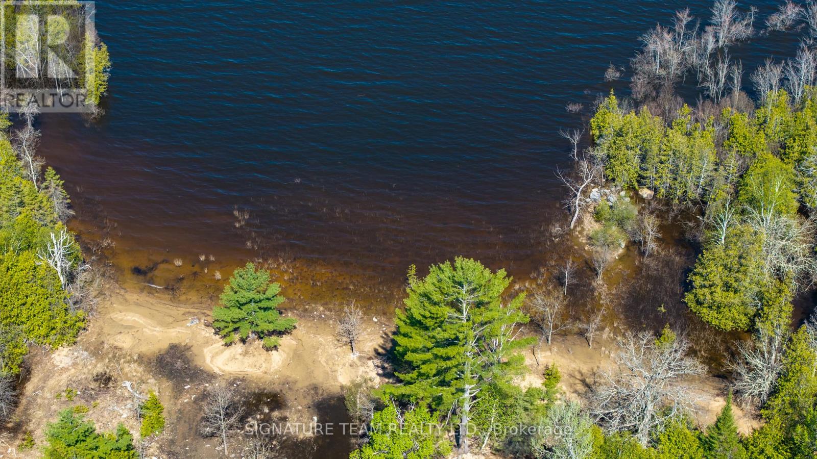 00 Red Ash Trail, Whitewater Region, Ontario K0J 2L0 - Photo 10 - X12986818