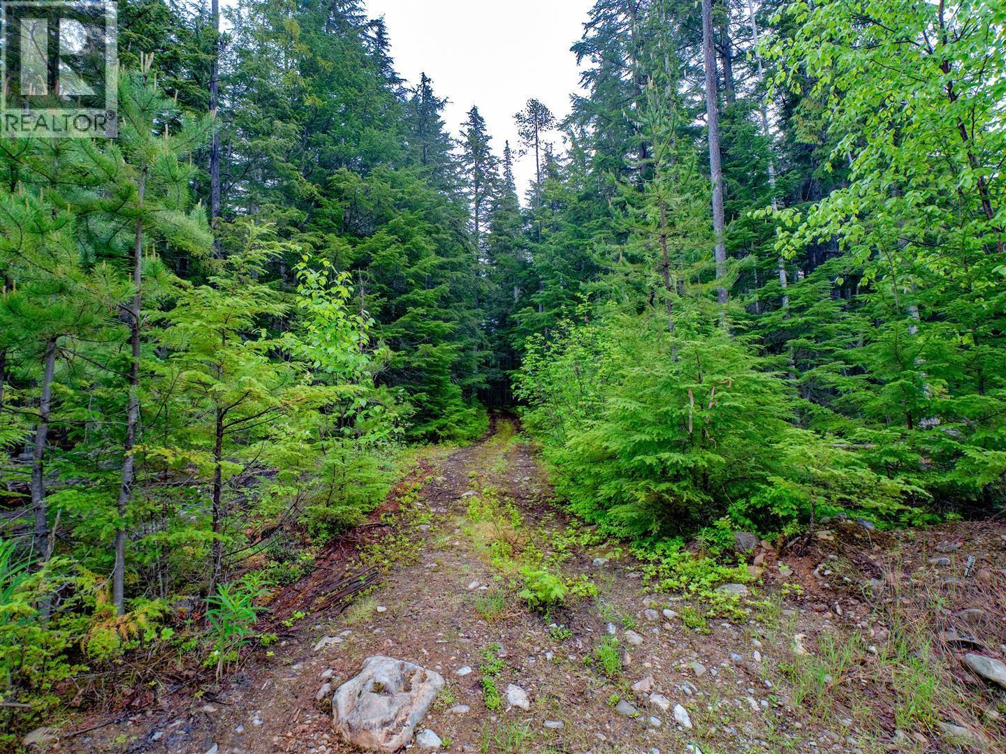 Dl4772 Skeena River, Terrace, British Columbia V8G 0A8 - Photo 21 - R3125995