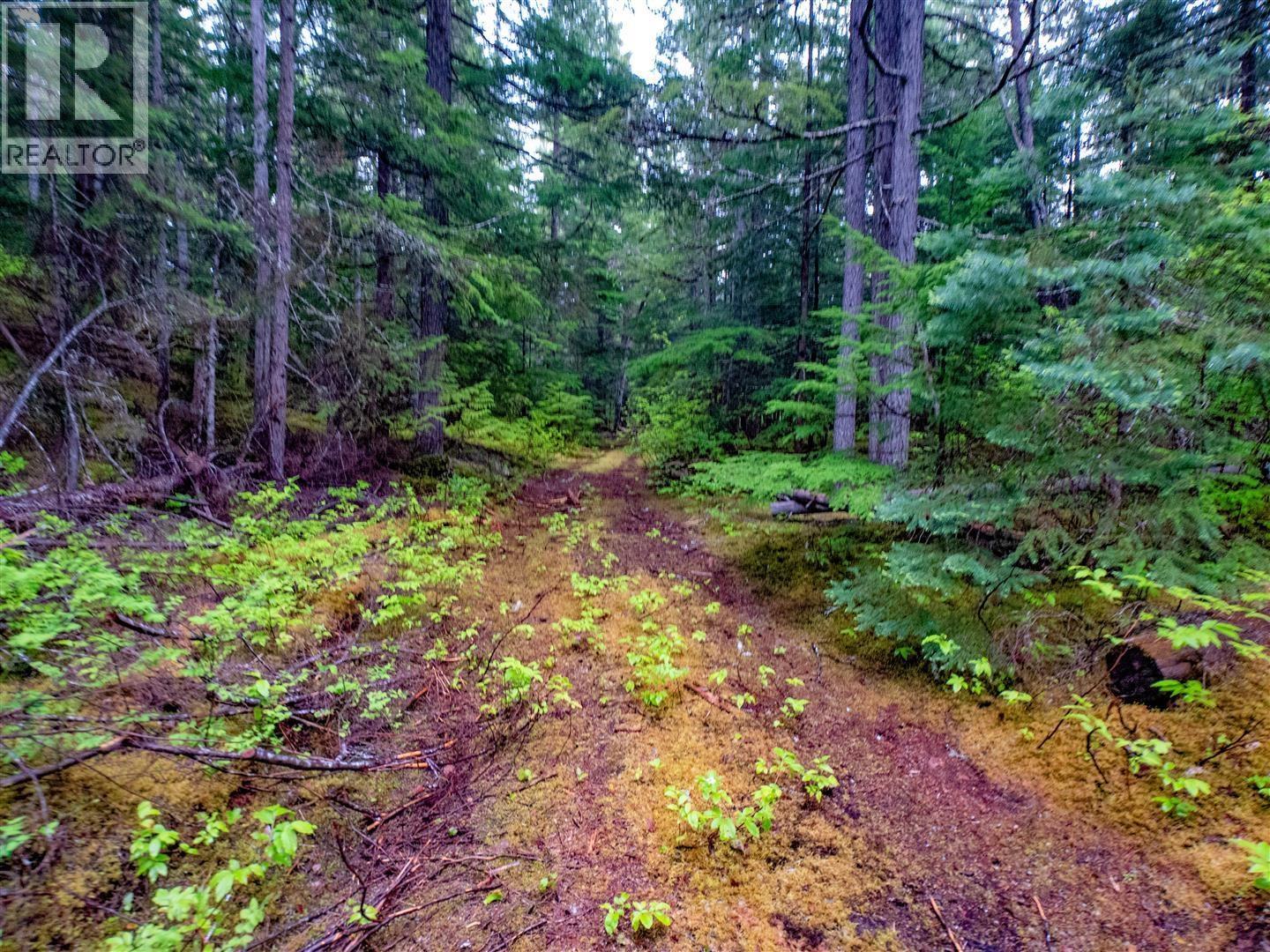 Dl4772 Skeena River, Terrace, British Columbia V8G 0A8 - Photo 22 - R3125995