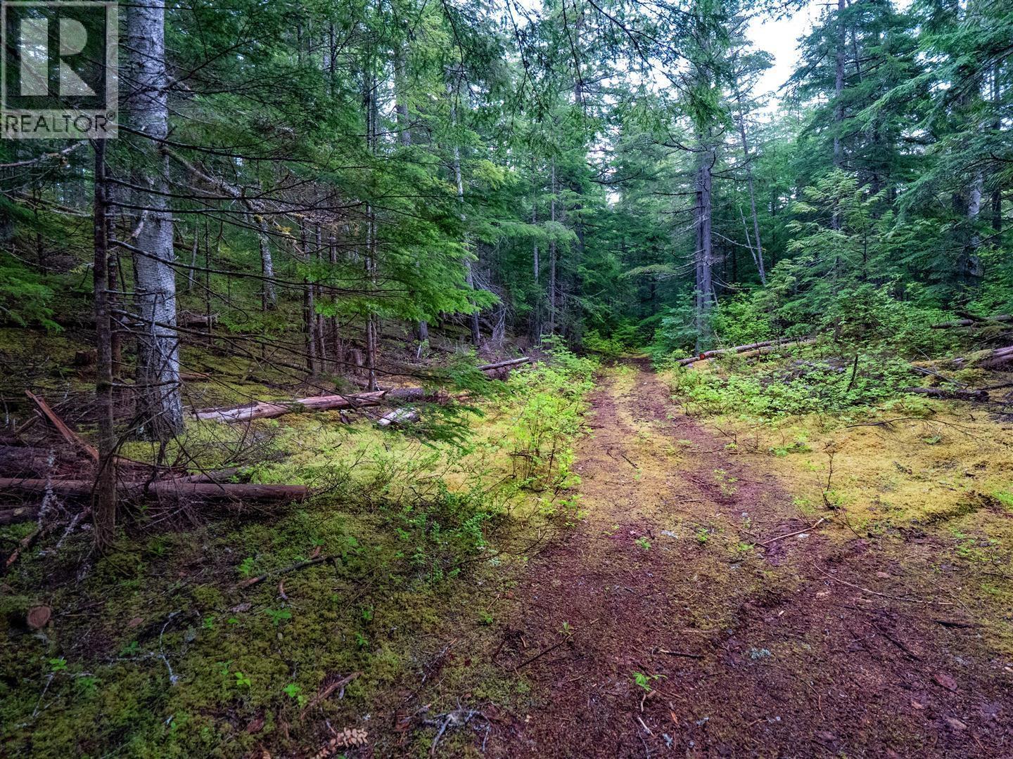 Dl4772 Skeena River, Terrace, British Columbia V8G 0A8 - Photo 24 - R3125995