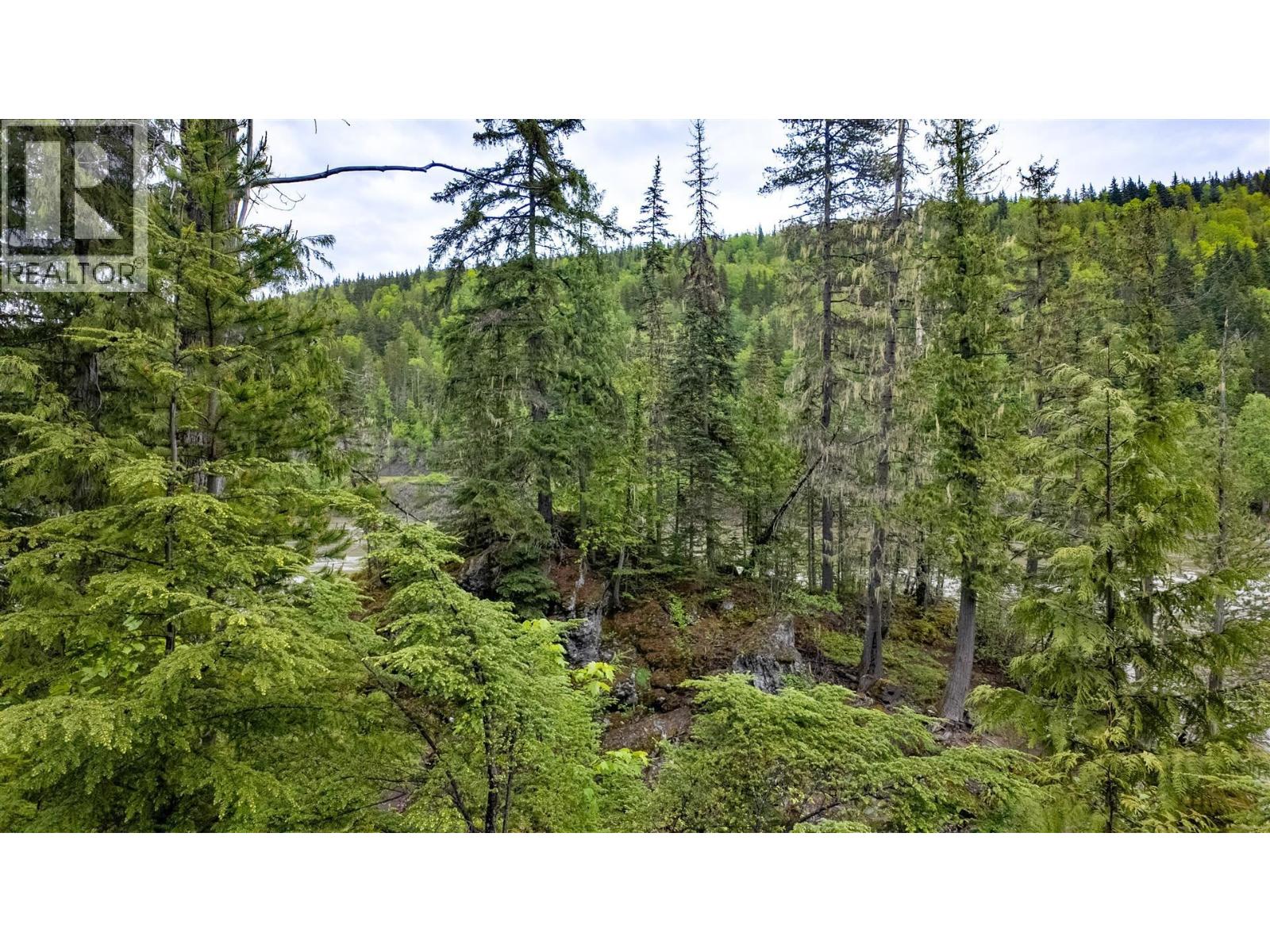 Dl4772 Skeena River, Terrace, British Columbia V8G 0A8 - Photo 33 - R3125995