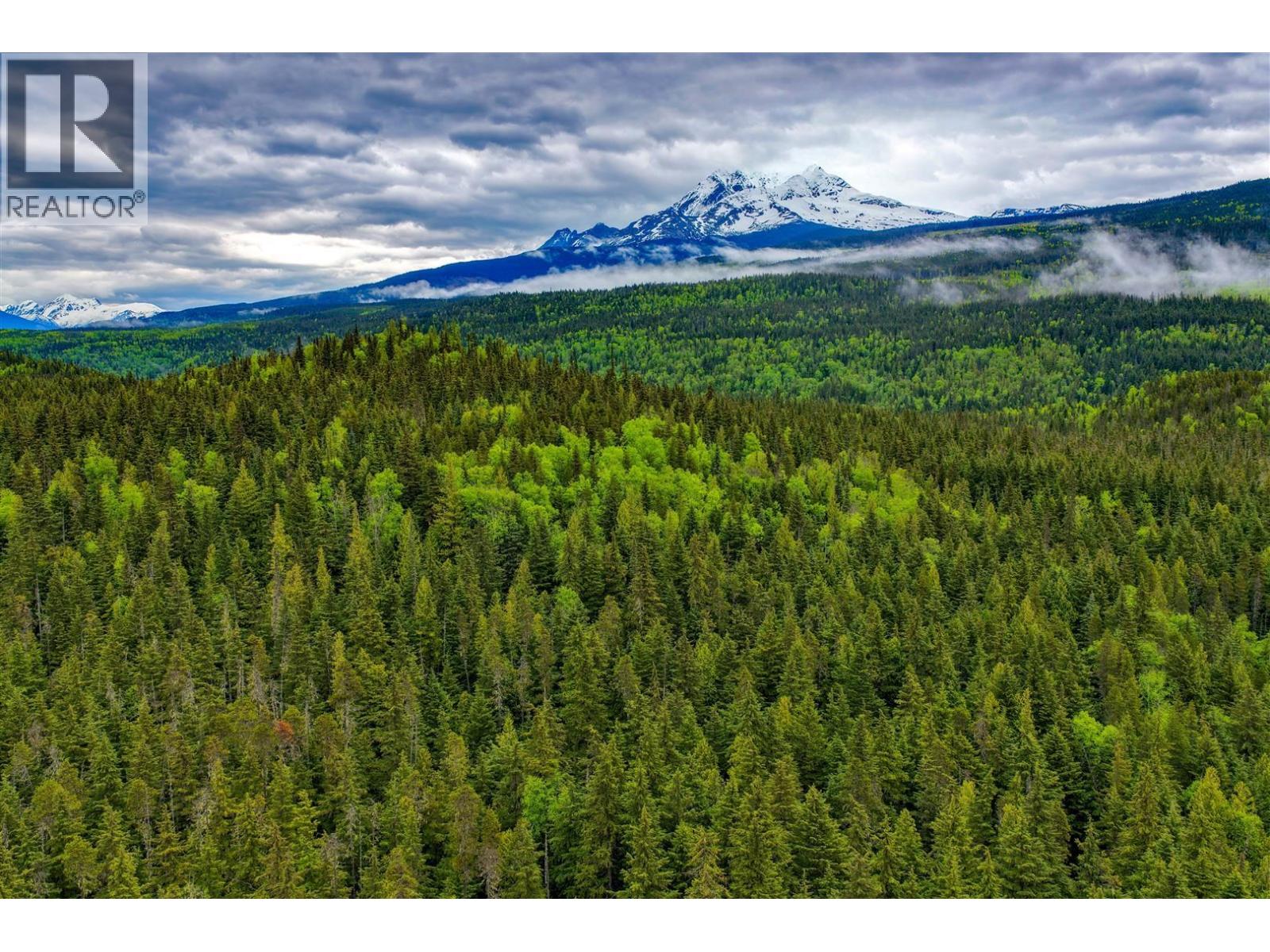 Dl4772 Skeena River, Terrace, British Columbia V8G 0A8 - Photo 6 - R3125995