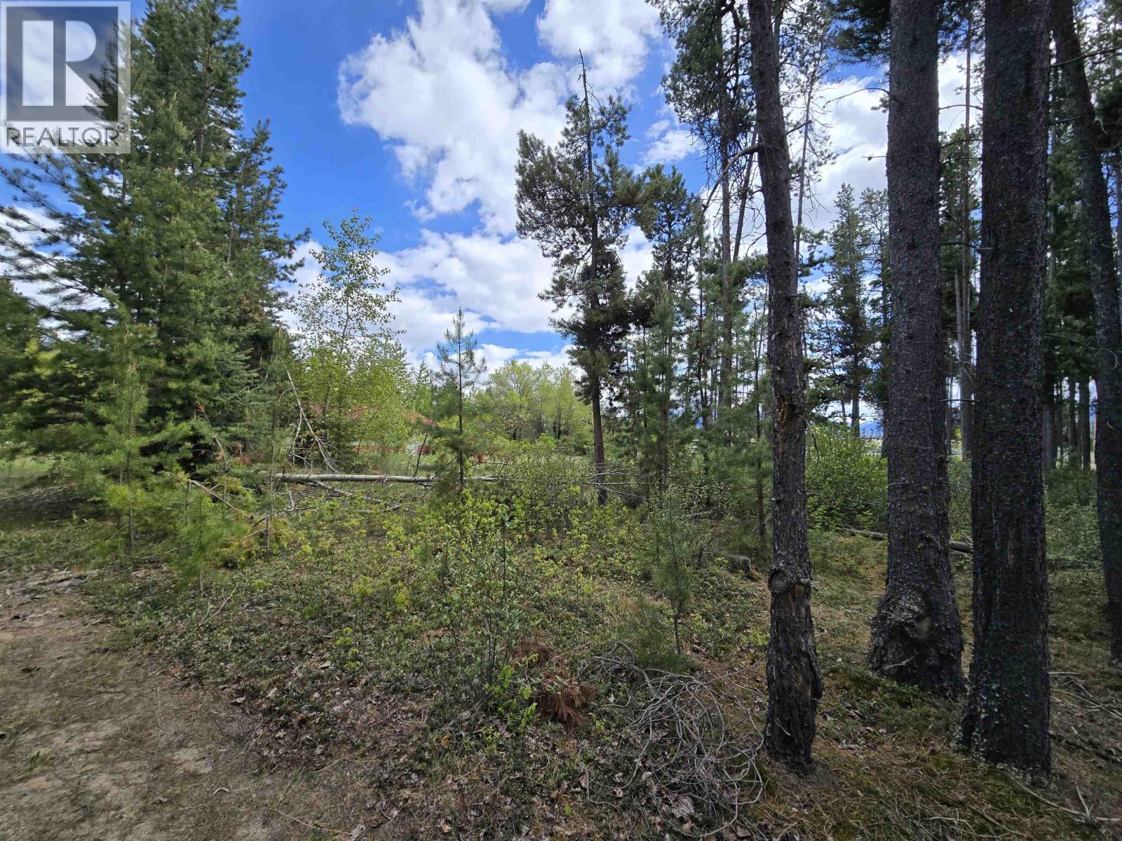 1406 Bruce Place, Valemount, British Columbia V0E 1Z0 - Photo 2 - R3125685