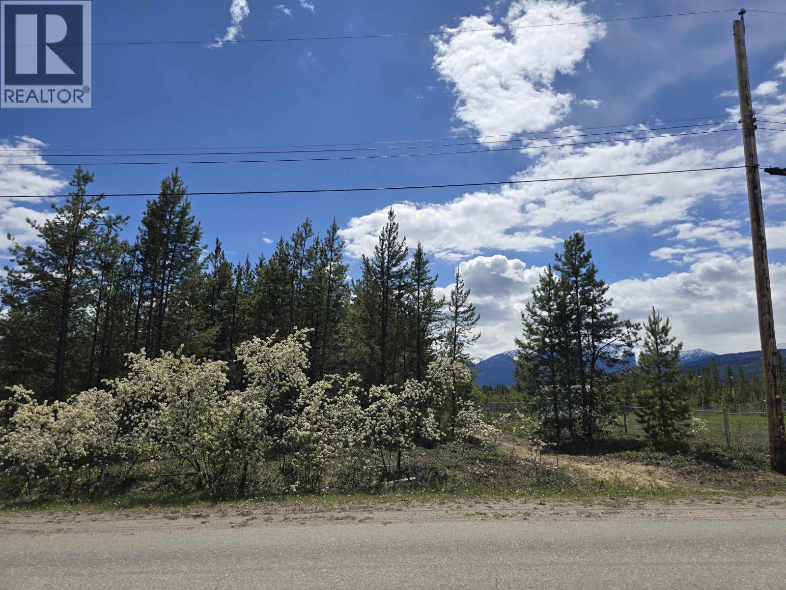 1025 9th Avenue, Valemount, British Columbia V0E 2Z0 - Photo 4 - R3125700