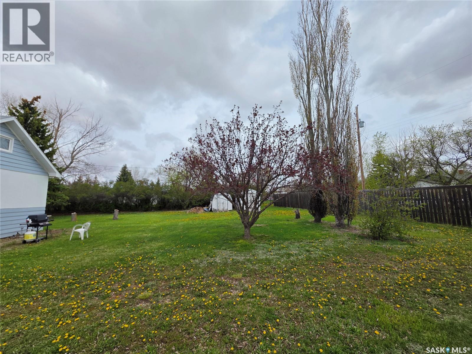 205 Warwick Street, Neville, Saskatchewan  S0N 1T0 - Photo 29 - SK036576