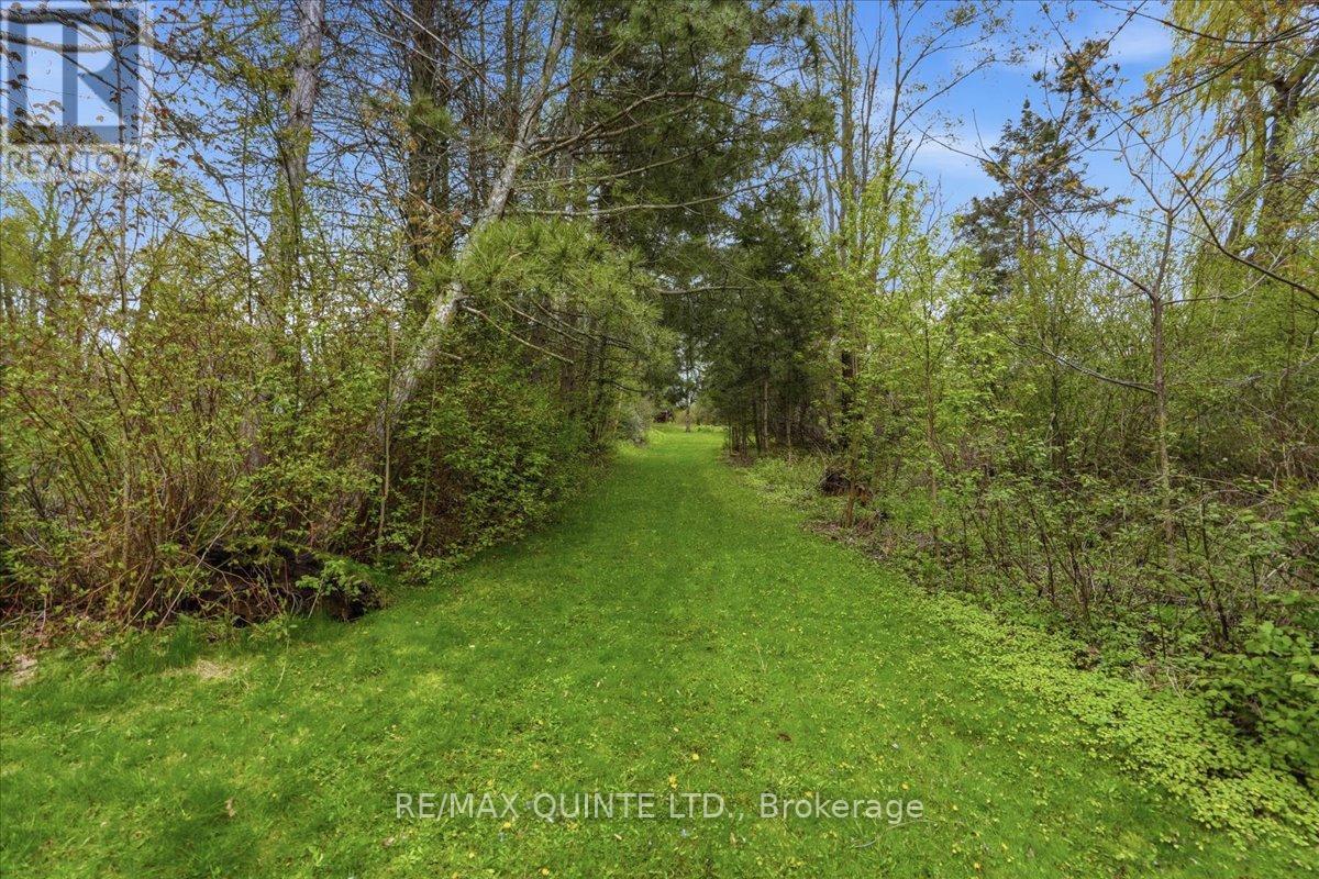 1242 County Road 12, Prince Edward County, Ontario  K0K 2T0 - Photo 28 - X13135224