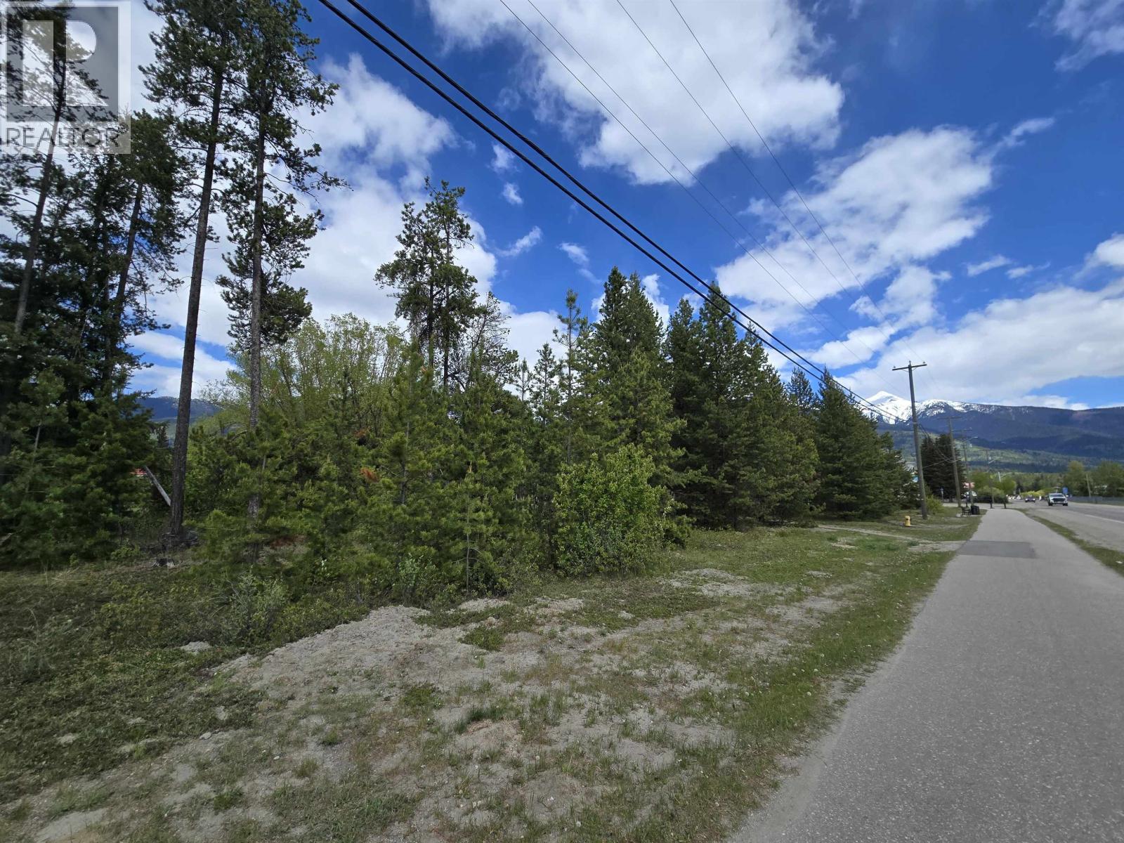 1400 5th Avenue, Valemount, British Columbia V0E 2Z0 - Photo 6 - C8078831