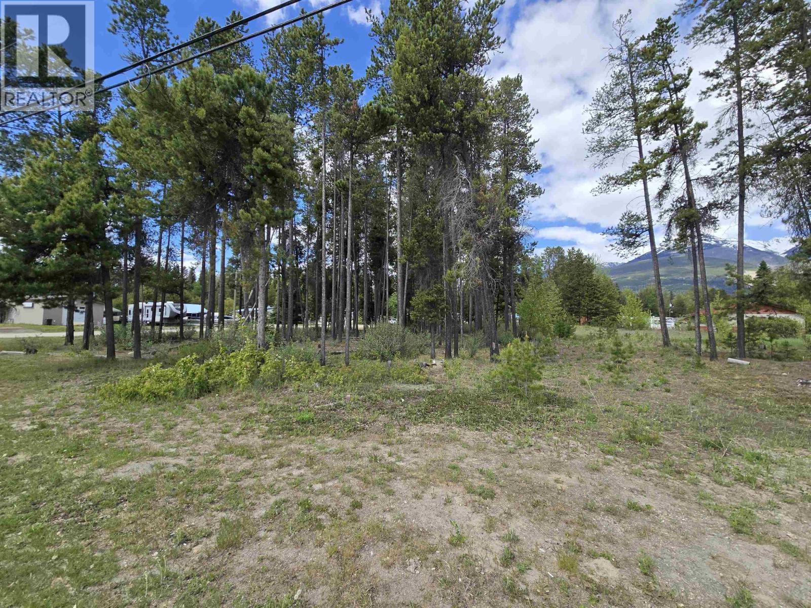 1400 5th Avenue, Valemount, British Columbia V0E 2Z0 - Photo 8 - C8078831
