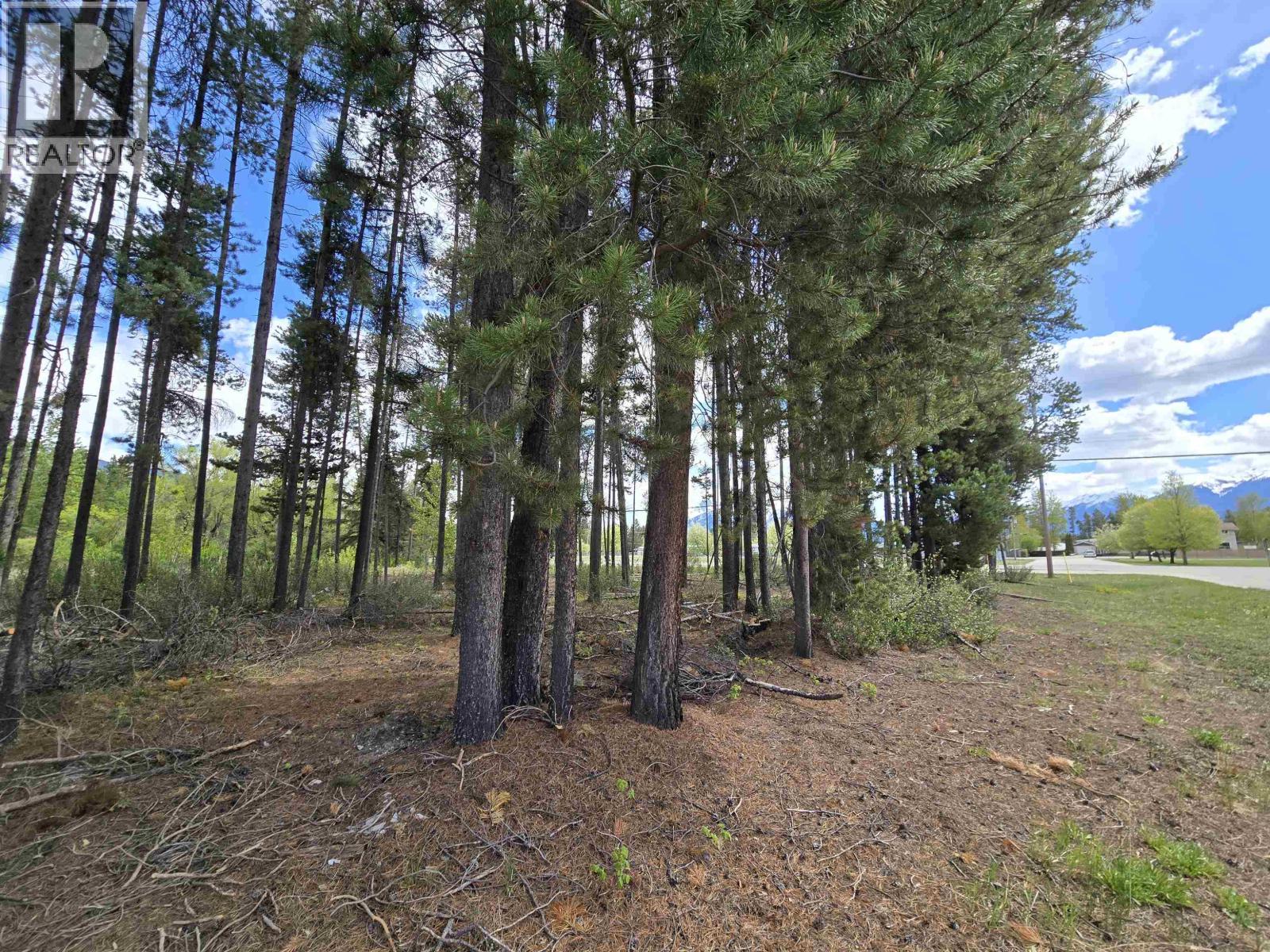 Lot 12 5th Avenue, Valemount, British Columbia  V0E 2Z0 - Photo 4 - C8078885