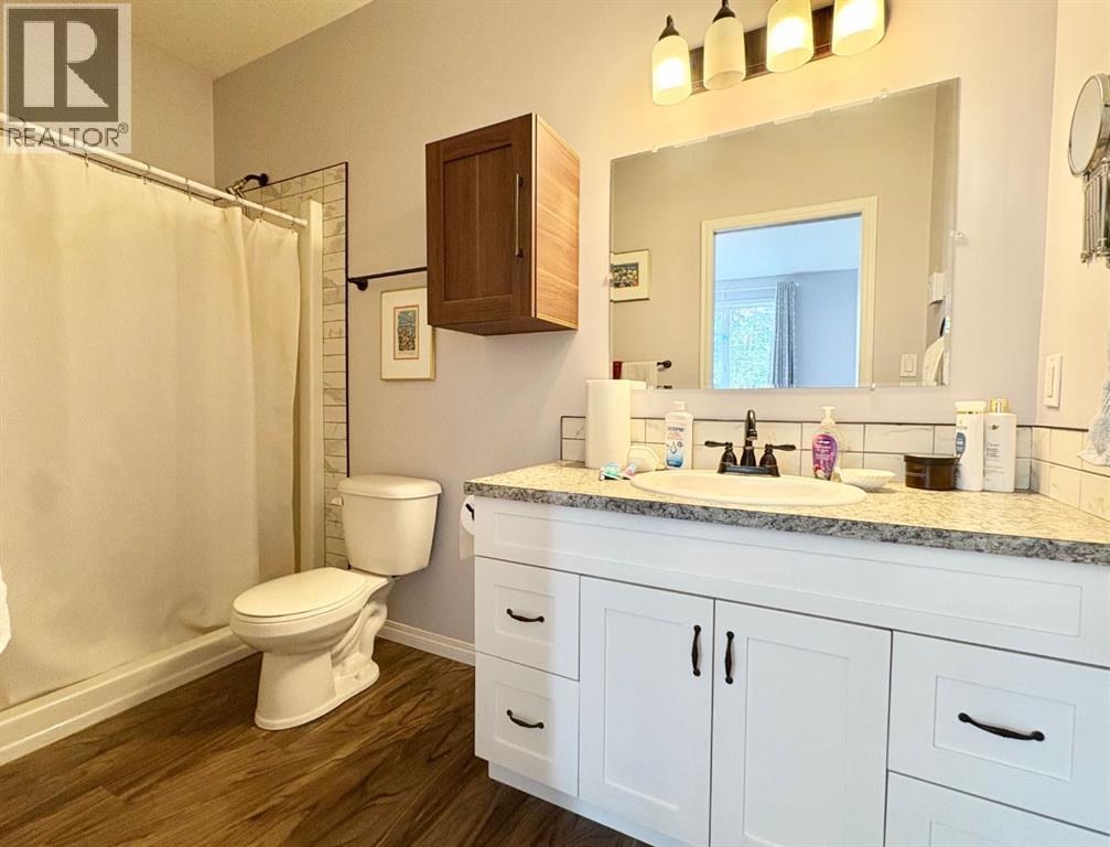 5027 52 Street, Rocky Mountain House, Alberta  T4T 1A7 - Photo 14 - A2308597