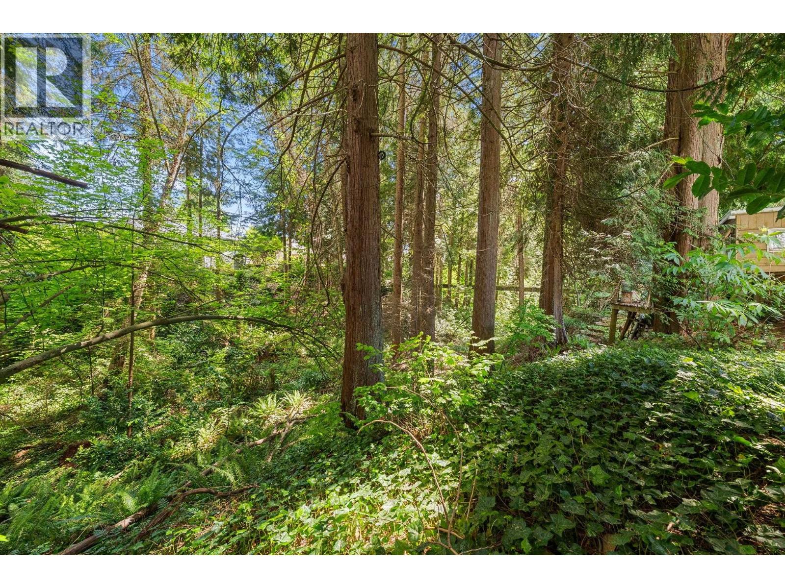 4368 Arundel Road, North Vancouver, British Columbia  V7R 3T2 - Photo 27 - R3125674