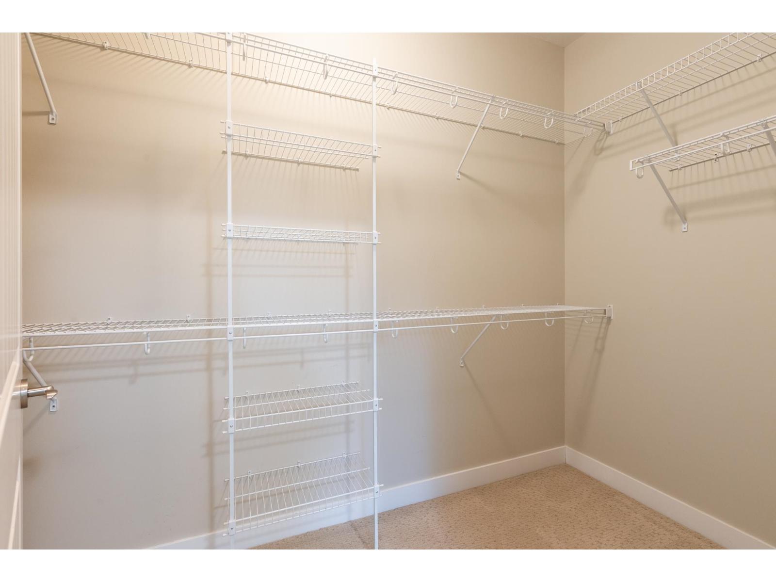 8228 171a Street, Surrey, British Columbia  V4N 0B2 - Photo 19 - R3124917
