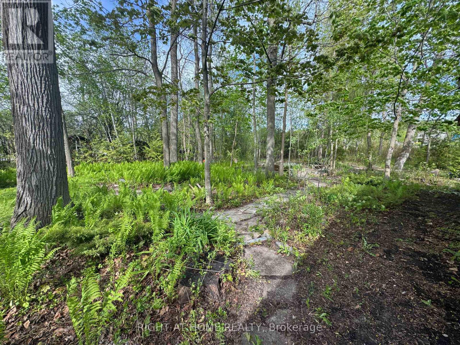 28 Birch Island Road, Scugog, Ontario  L0B 1K0 - Photo 32 - E13048620