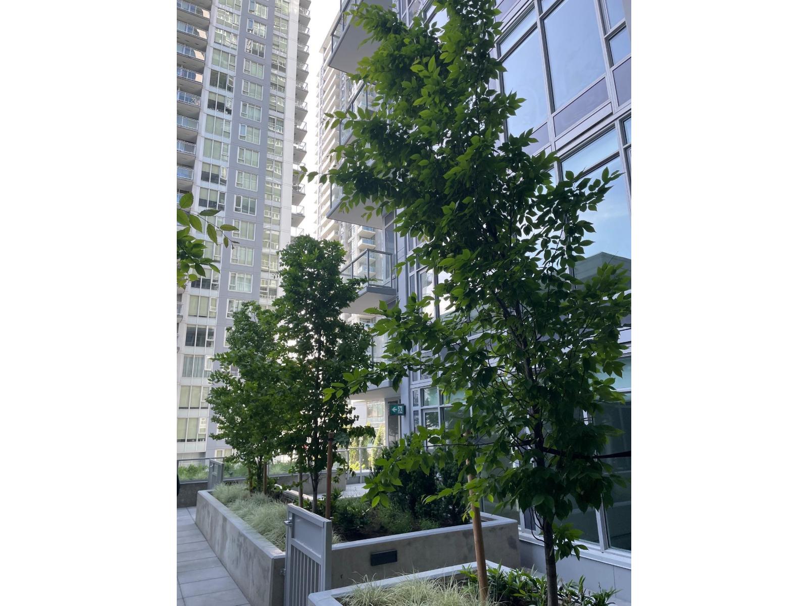 606 13350 Central Avenue, Surrey, British Columbia  V3T 0S1 - Photo 23 - R3125925